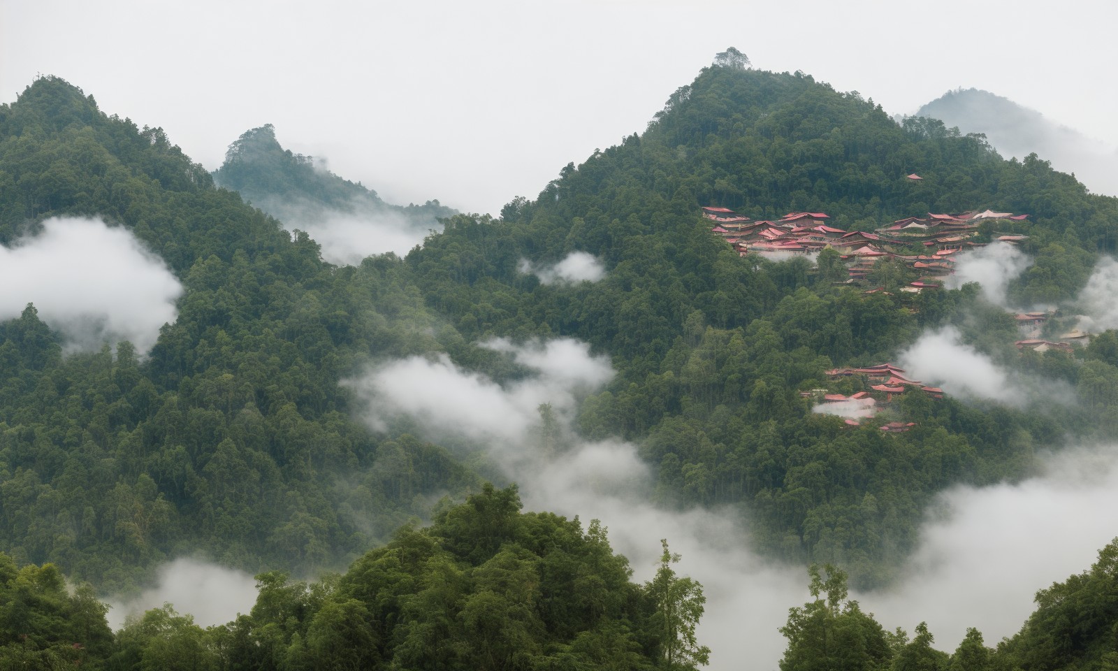 云雾中隐藏在高山树林中的小村庄
