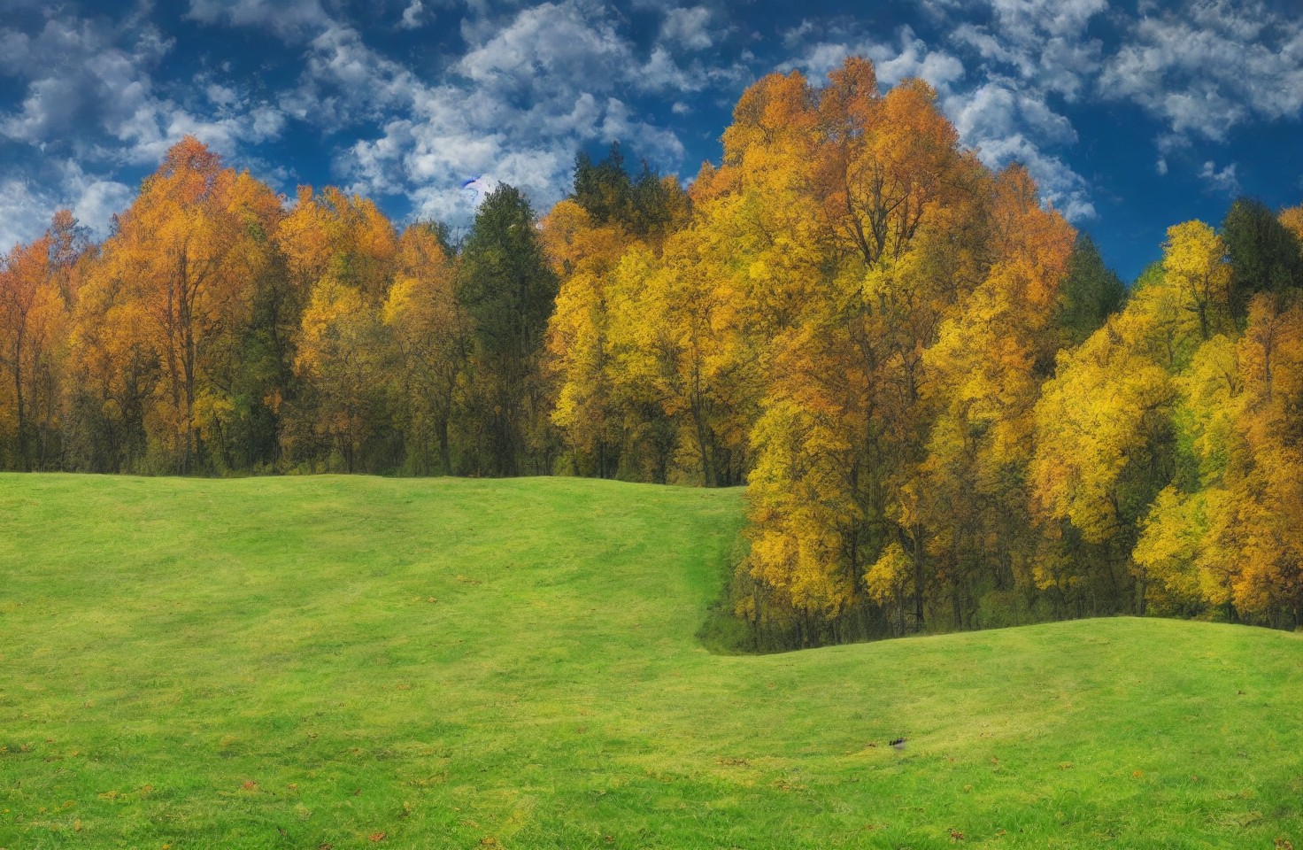 绿色田野与黄色绿色叶子相间的树